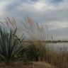 06-Apres-midi d hiver au bord de l etang de MateilleT.jpg